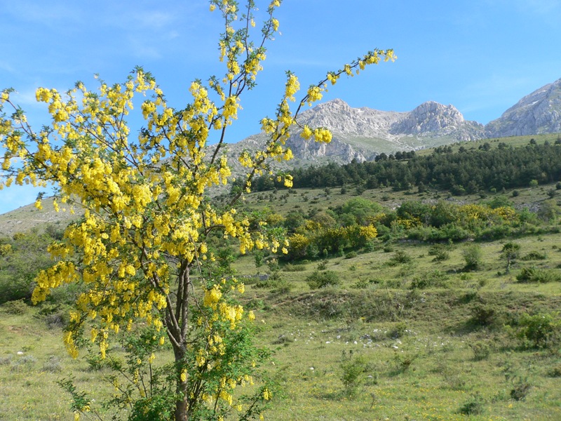 Immagini dall''abruzzo